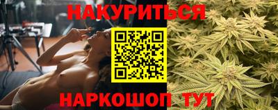 дмт Шелехов